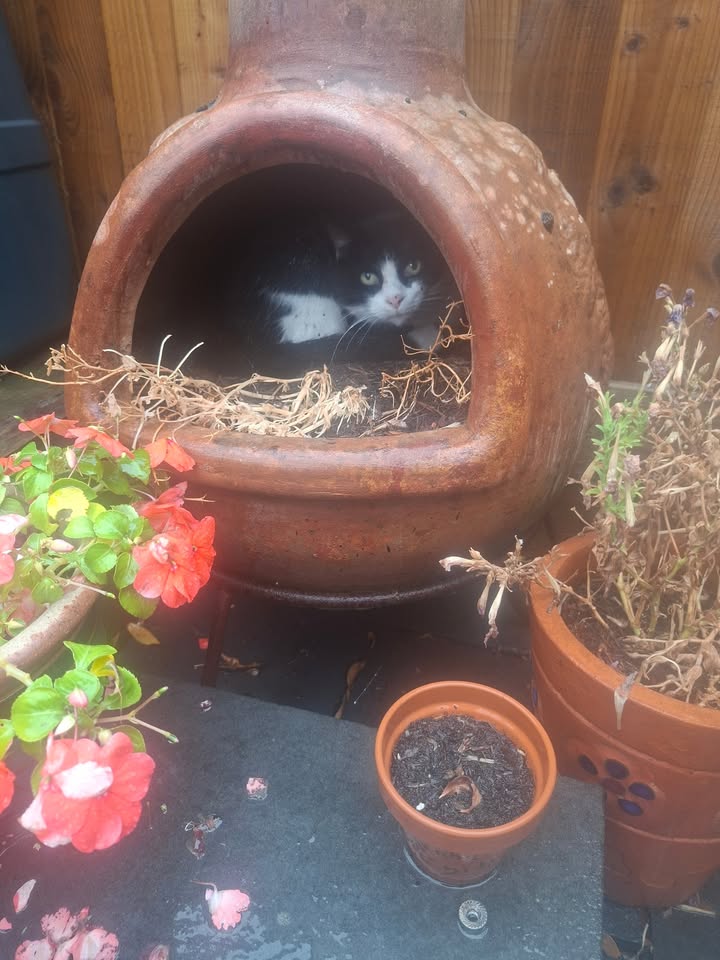 Telford Pet Services