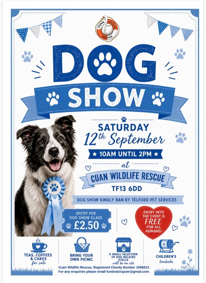 Telford Pet Services