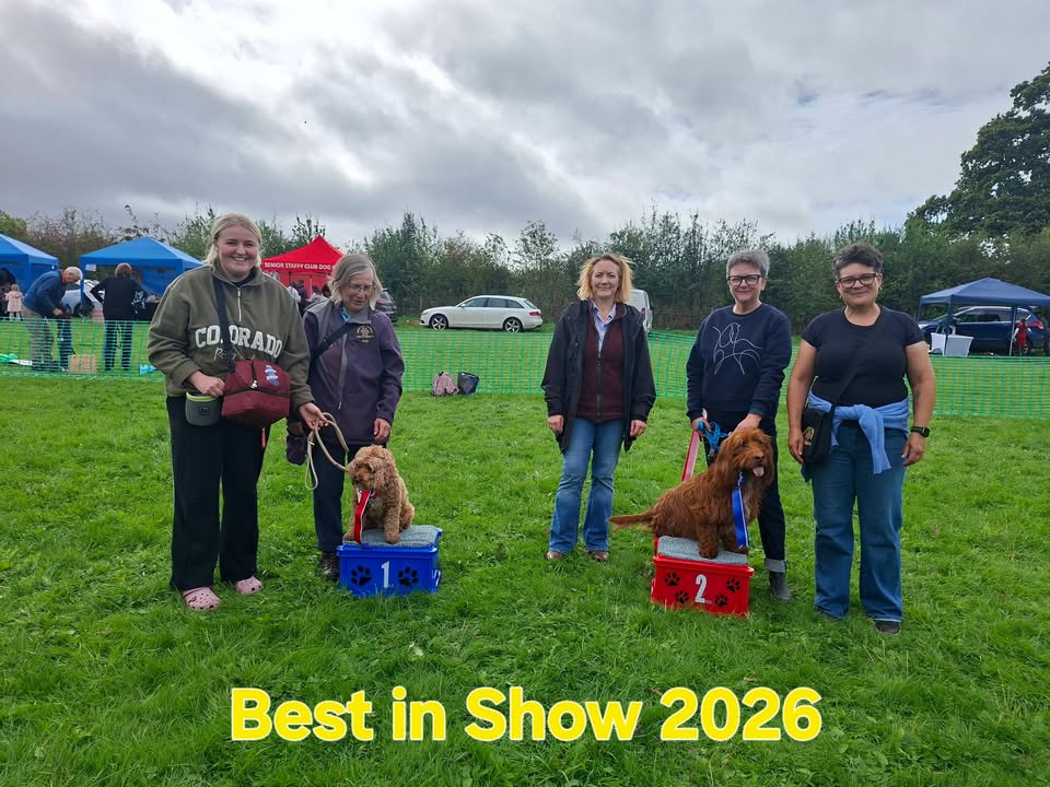 Telford Pet Services